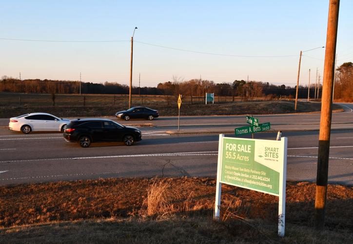 Council OKs bringing in company to develop land off Betts Parkway